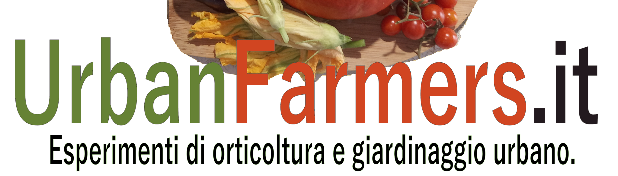 Urban Farmers dot IT – Esperimenti di Orticoltura e Giardinaggio urbano.